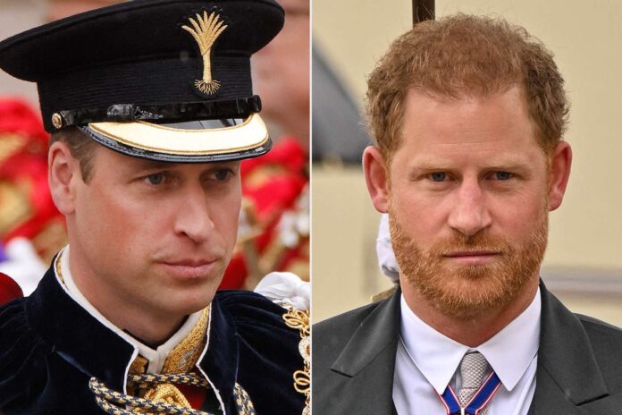 Prince William and Prince Harry